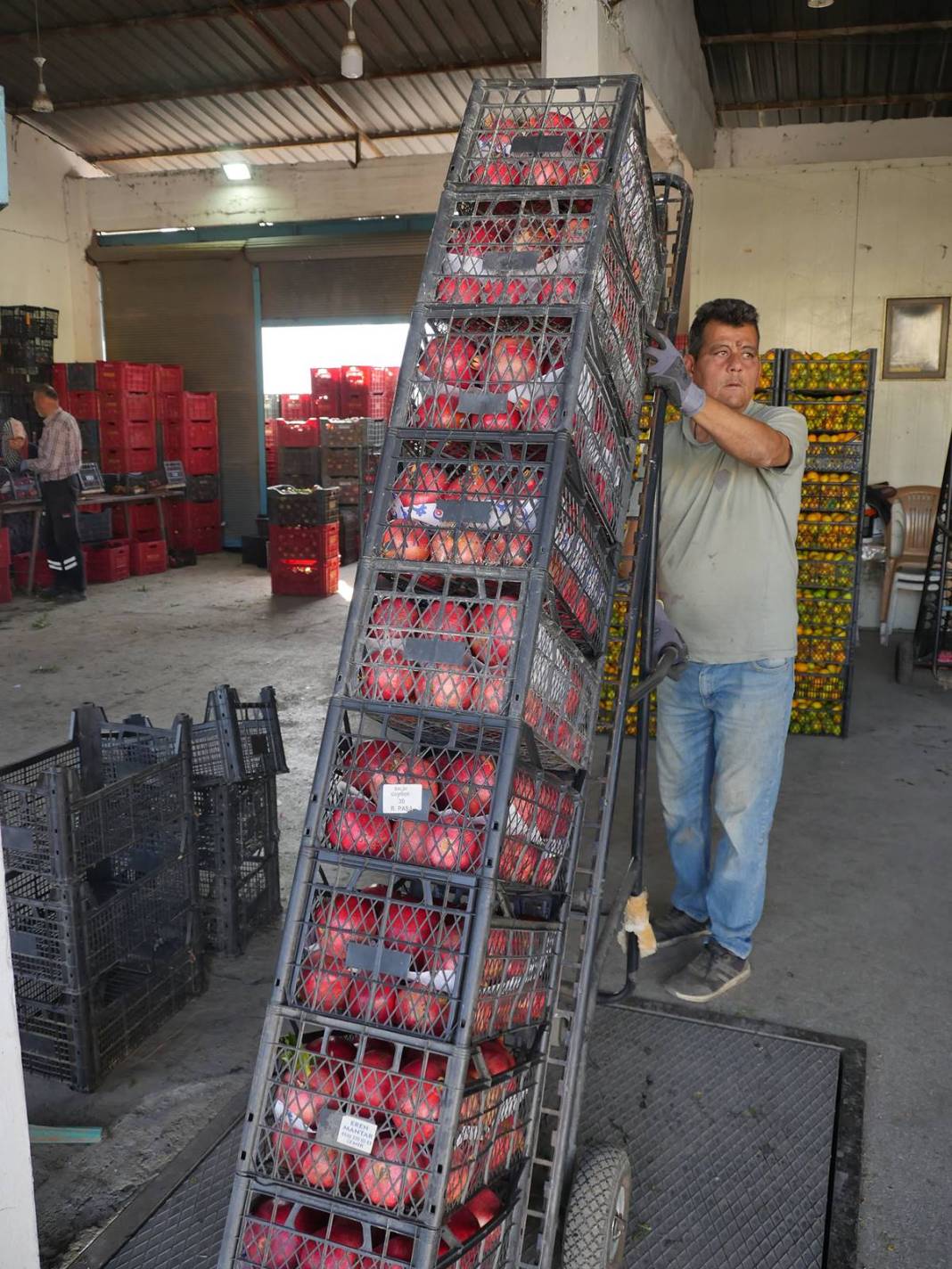 Neye niyet, neye kısmet: İlçenin ekonomisini ayağa kaldırdı! Yüksek gelir elde ediyorlar, kapış kapış satılıyor 21